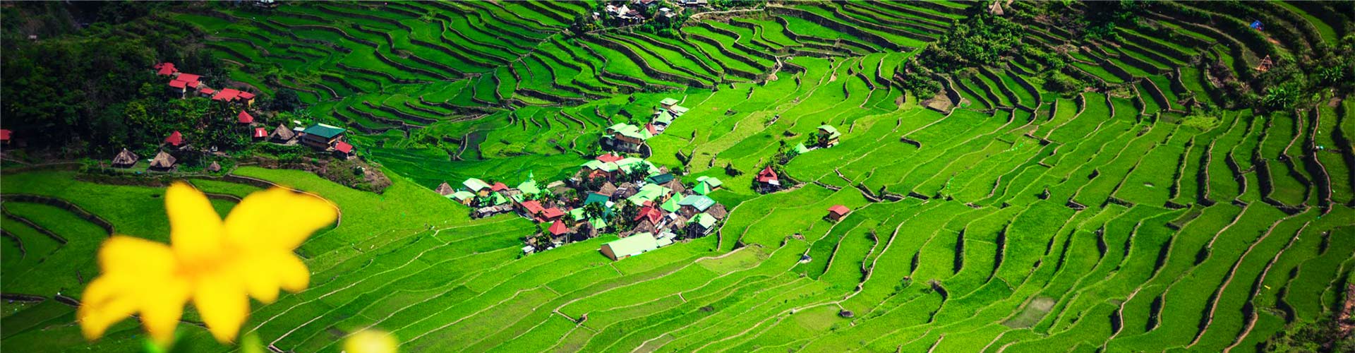 Banaue Tours | Best Banaue Rice Terraces Tours