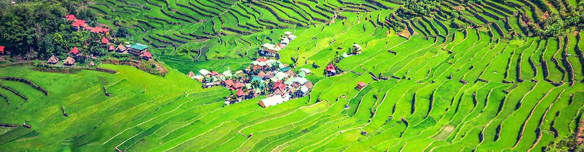 4 Days Banaue Rice Terraces Tour from Manila