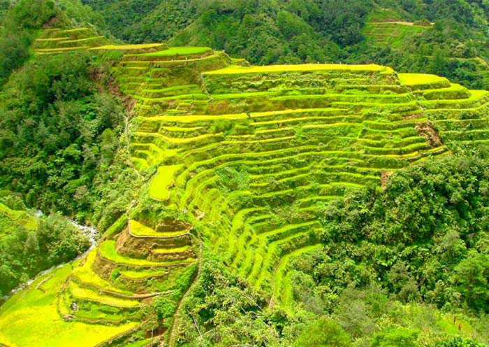 Banaue Viewpoint to View the 