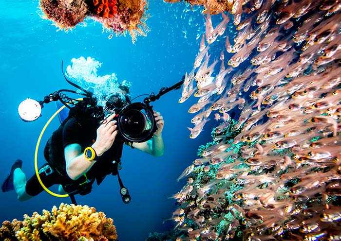 Take Fantastic Pictures of Lusong Coral Garden